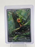 Chespin 087/086 Me04: Chaos Rising Holo