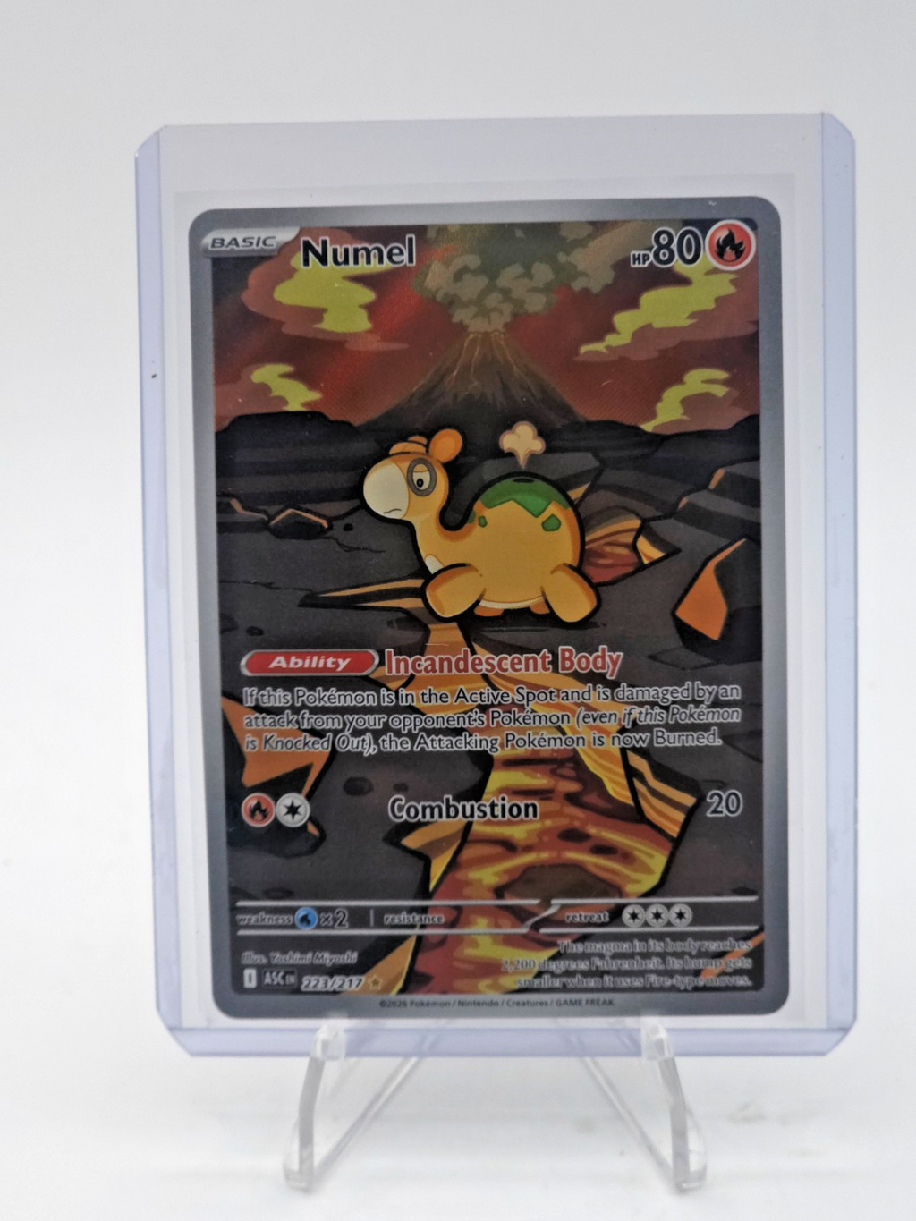 Numel 223/217 Me: Ascended Heroes Holo